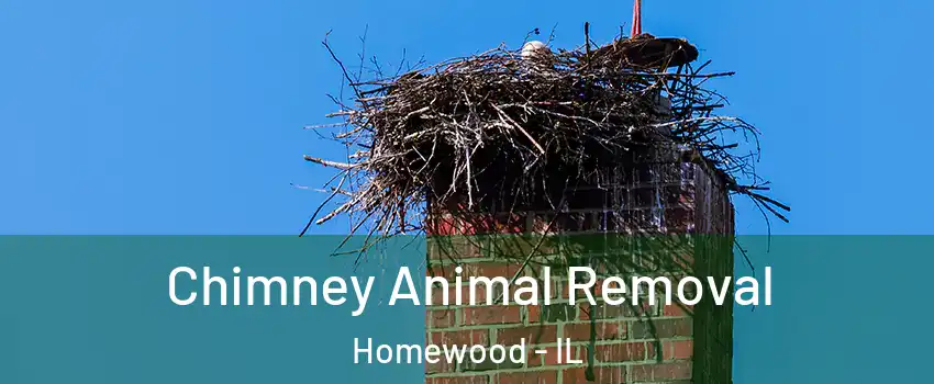 Chimney Animal Removal Homewood - IL
