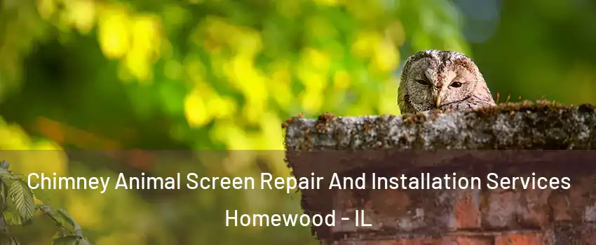  Chimney Animal Screen Repair And Installation Services Homewood - IL
