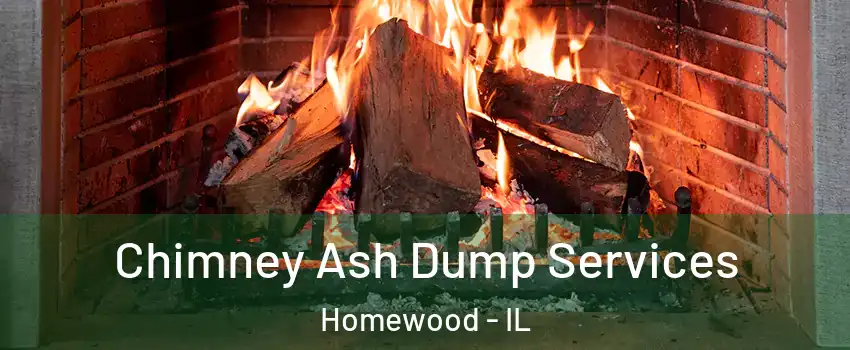  Chimney Ash Dump Services Homewood - IL