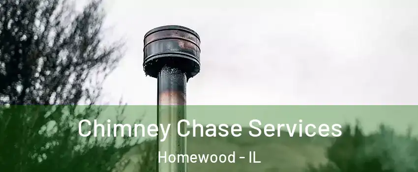  Chimney Chase Services Homewood - IL