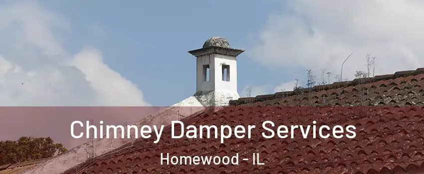  Chimney Damper Services Homewood - IL