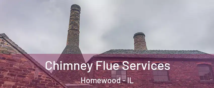  Chimney Flue Services Homewood - IL