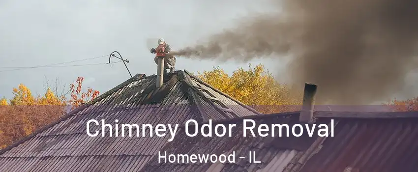  Chimney Odor Removal Homewood - IL