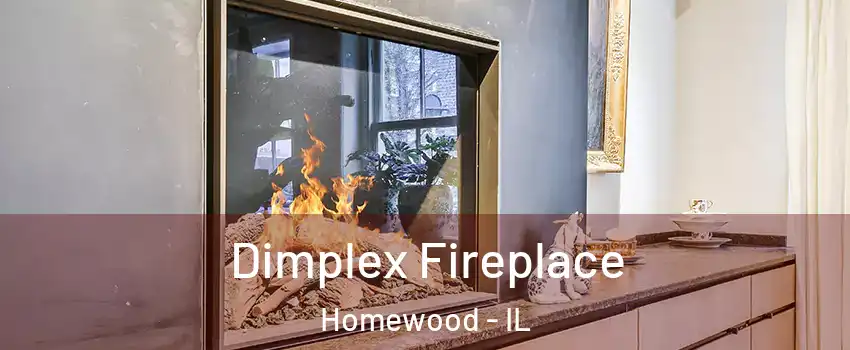  Dimplex Fireplace Homewood - IL