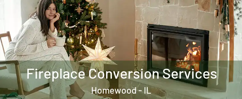  Fireplace Conversion Services Homewood - IL