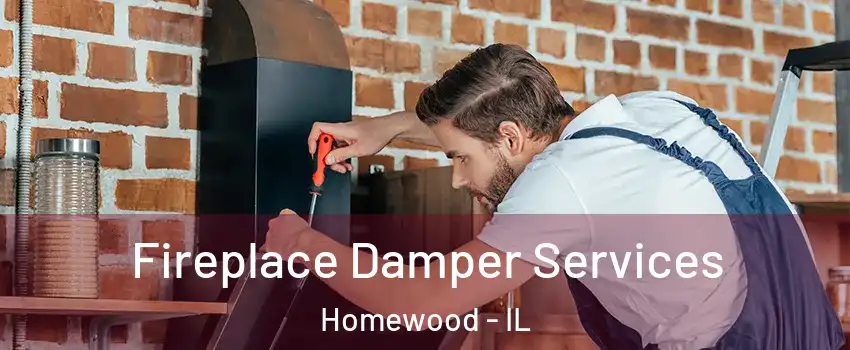  Fireplace Damper Services Homewood - IL