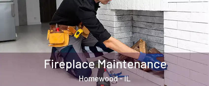  Fireplace Maintenance Homewood - IL