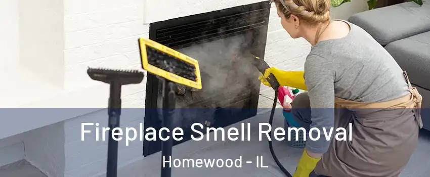  Fireplace Smell Removal Homewood - IL