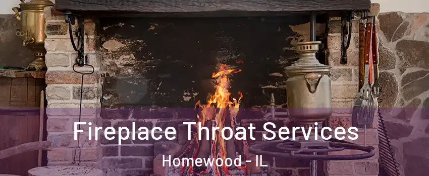  Fireplace Throat Services Homewood - IL