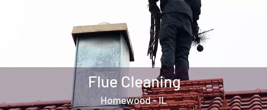  Flue Cleaning Homewood - IL