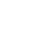 Professional Chimney Flue Installation in Homewood, Illinois