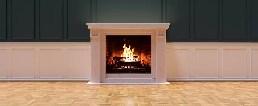 Napoleon Electric Fireplaces Inspection Service in Homewood, Illinois