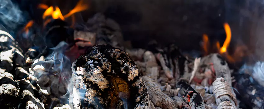 Creosote Removal Experts in Homewood, IL