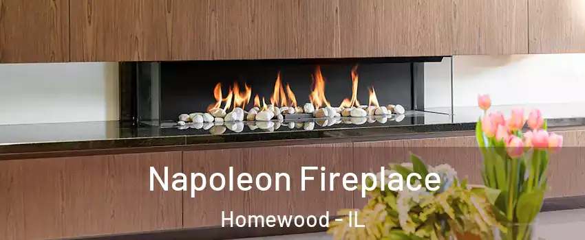  Napoleon Fireplace Homewood - IL