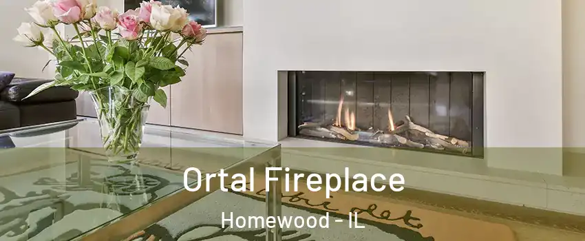  Ortal Fireplace Homewood - IL