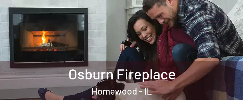  Osburn Fireplace Homewood - IL